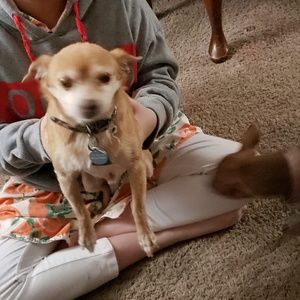 Meet your Posher, Cheryl